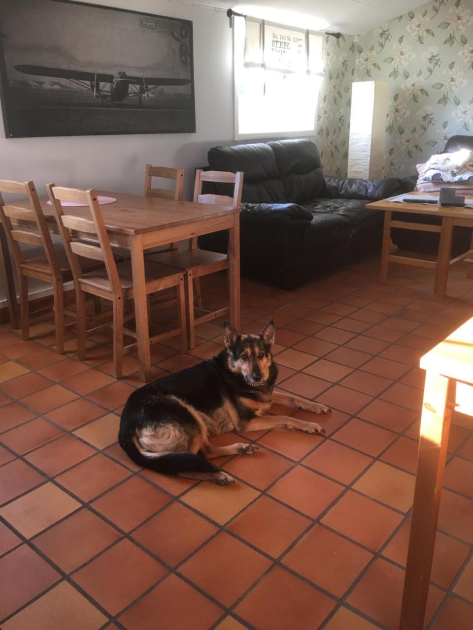 Vanga Hostel エクステリア 写真
